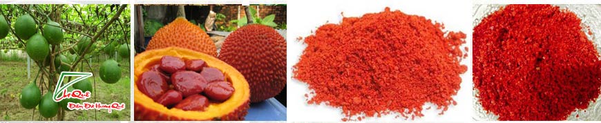 Các công đoạn làm bột gấc